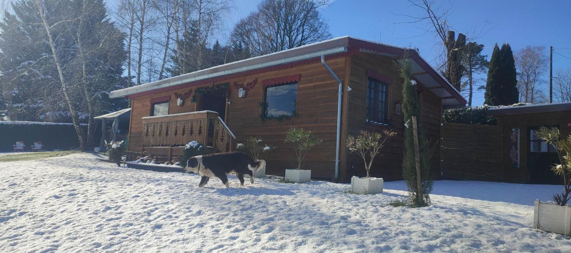 Domaine Le Lanis "Cabane De Pauline" Saint-Girons  Extérieur photo